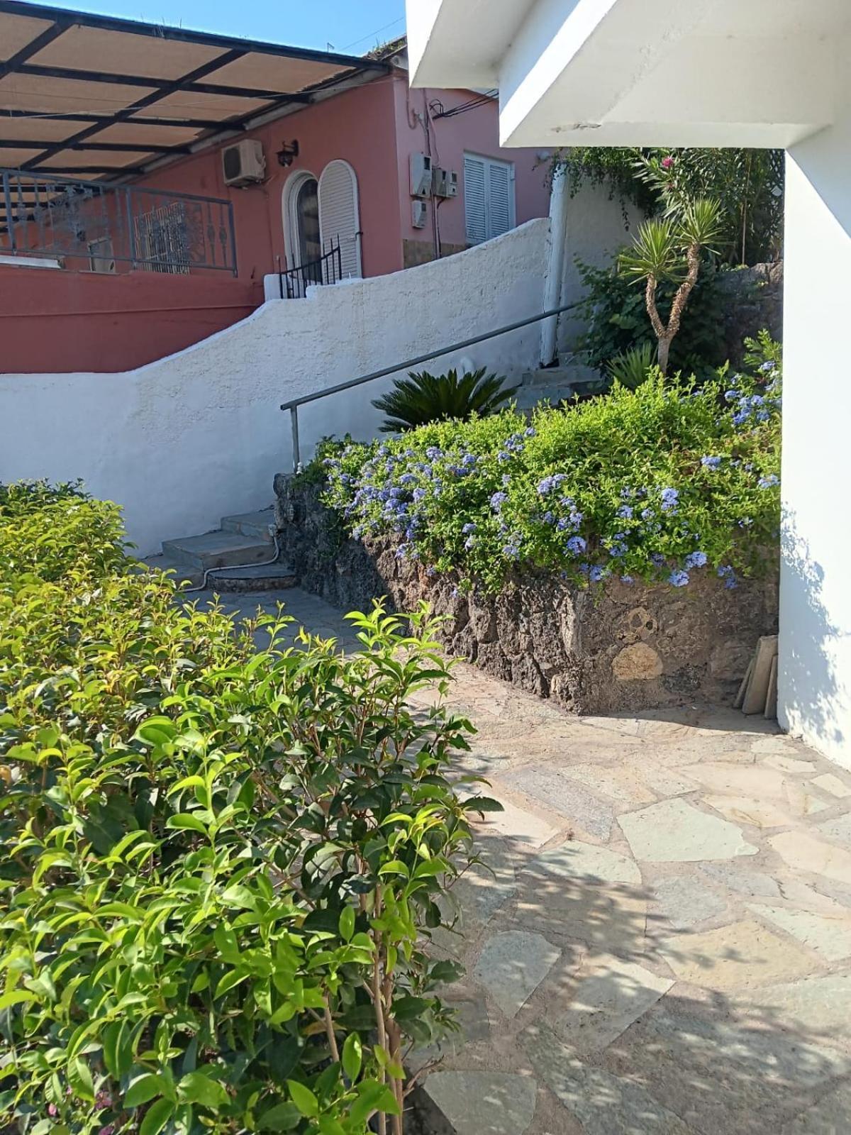 Appartement Bougainvillea Corfu  Zewnętrze zdjęcie