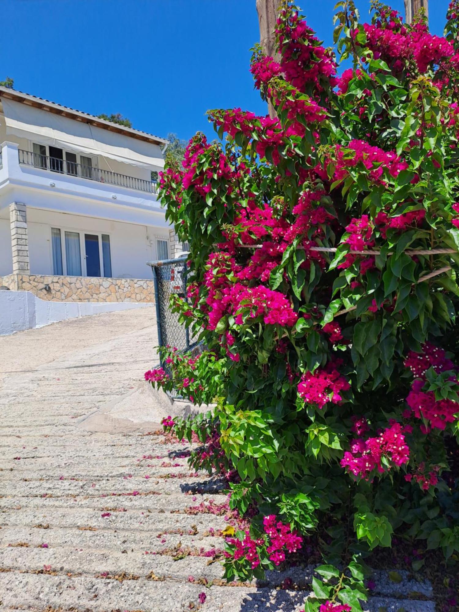 Appartement Bougainvillea Corfu  Zewnętrze zdjęcie